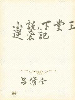 小说,下堂王妃逆袭记