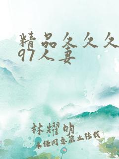 精品久久久久久97人妻