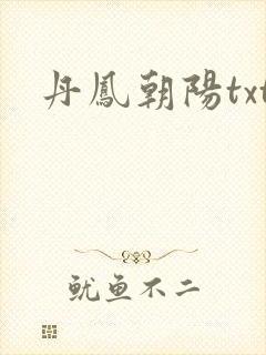 丹凤朝阳txt