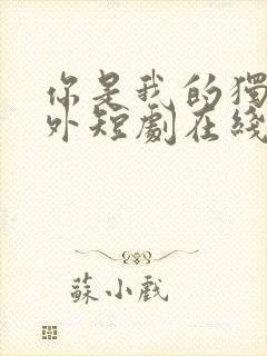 你是我的独家意外短剧在线观看免费高清