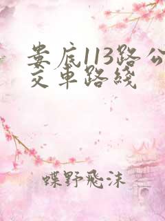 娄底113路公交车路线