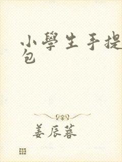 小学生手提袋书包