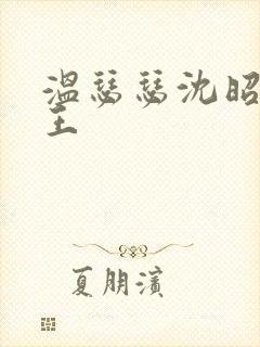 温瑟瑟沈昭摄政王