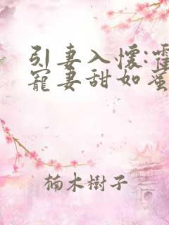 引妻入怀:霍少宠妻甜如蜜txt