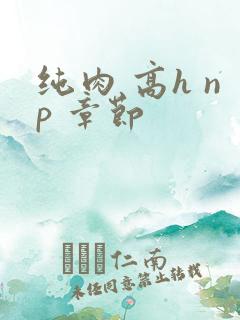 纯肉 高h np 章节