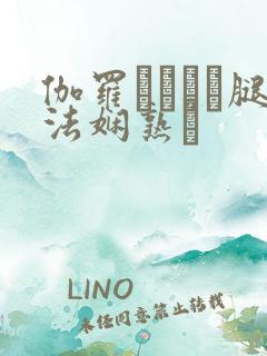 伽罗ちゃんが腿法娴熟を