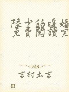 陆少的暖婚新妻免费阅读完整版