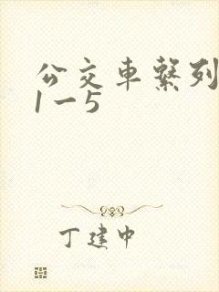 公交车系列合集1一5