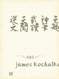 逆天武神免费全文阅读笔趣阁