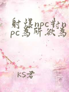 射爆npc对npc为所欲为的世界