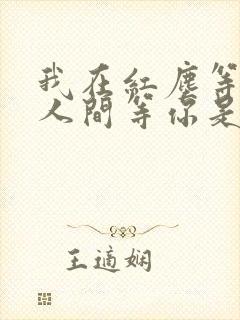 我在红尘等你,人间等你是什么歌