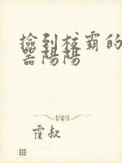 捡到校霸的遥控器阳阳