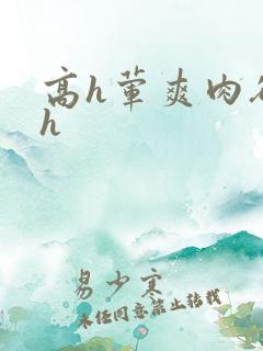 高h荤爽肉欲文h