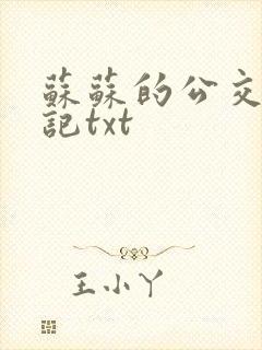 苏苏的公交车日记txt