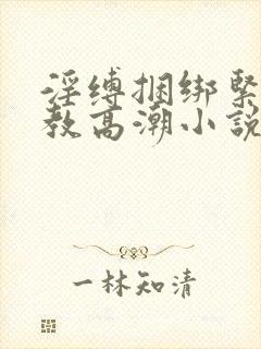 淫缚捆绑紧缚调教高潮小说