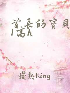 首长的宝贝1v1高h