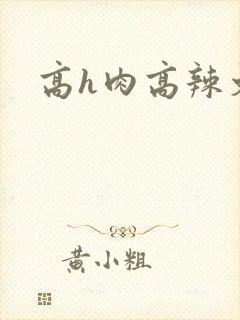 高h肉高辣文