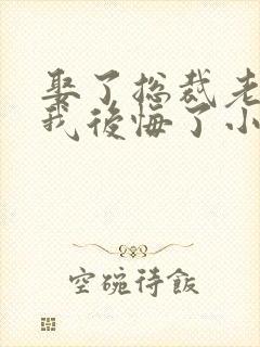 娶了总裁老婆后我后悔了小说