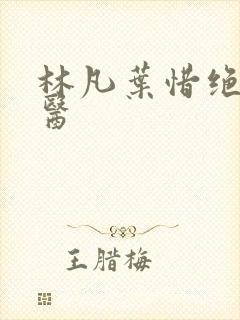 林凡叶惜绝世邪医
