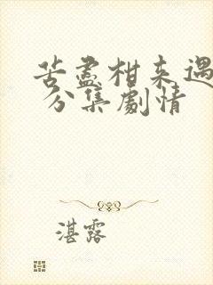 苦尽柑来遇见你 分集剧情