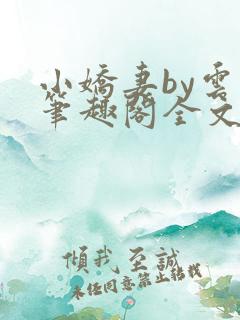 小娇妻by云间笔趣阁全文免费阅读