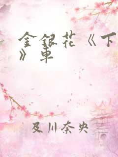 金银花《下厨房》车