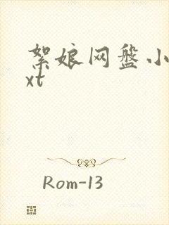 絮娘网盘小说txt