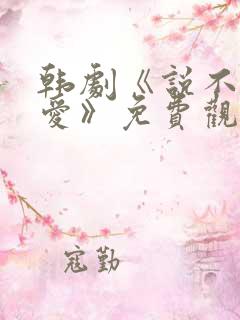 韩剧《说不出的爱》免费观看