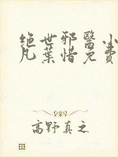 绝世邪医小说林凡叶惜免费阅读全文