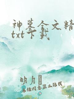 神墓全文精校版txt下载