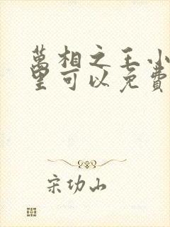 万相之王小说哪里可以免费阅读