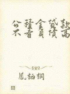 公积金贷款平台不看负债高