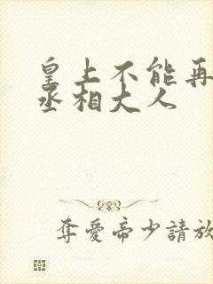 皇上不能再进了丞相大人