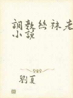 调教丝袜老师的小说