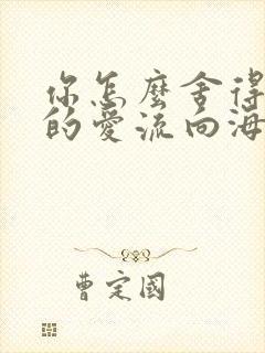 你怎么舍得让我的爱流向海