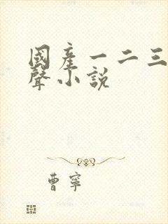 国产一二三区有声小说