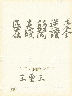 匹夫的逆袭小说在线阅读全文