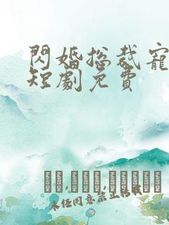 闪婚总裁宠上天短剧免费