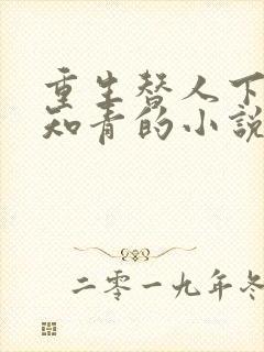 重生替人下乡当知青的小说