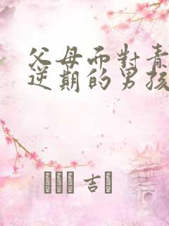 父母面对青春叛逆期的男孩怎么办