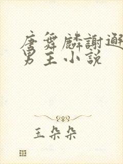 唐舞麟谢邂的双男主小说