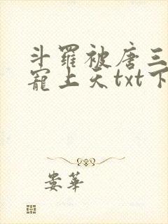 斗罗被唐三哥哥宠上天txt下载