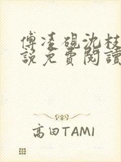 傅凌砚沈枝雪小说免费阅读最新章节