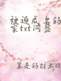 被迫成名的小说家txt网盘