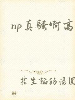 np真骚啊高h