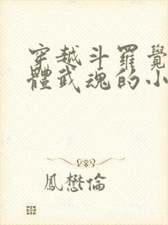 穿越斗罗觉醒本体武魂的小说