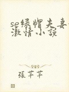 se绿帽夫妻奴激情小说