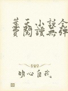 叶天小说全文免费阅读无弹窗