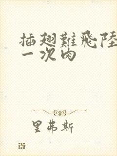 插翅难飞陆进第一次肉