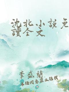 沈北小说免费阅读全文